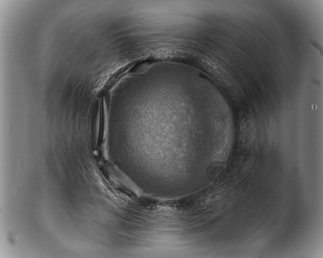 X0000100780592200806261631