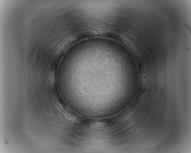 X0000100780593200806261631