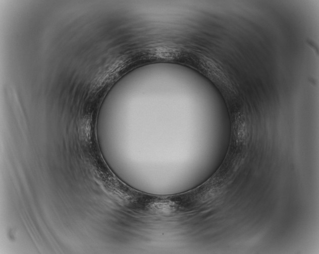 X0000100780595200806261631