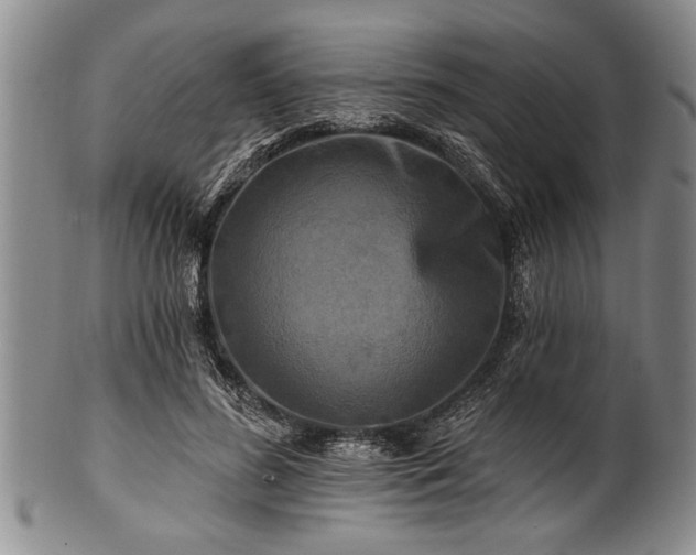 X0000100780596200806261631