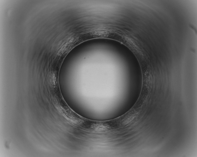 X0000100780597200806261631