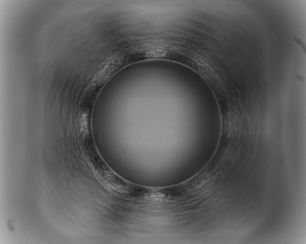 X0000100780598200806261631