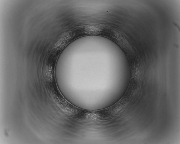 X0000100780599200806261631