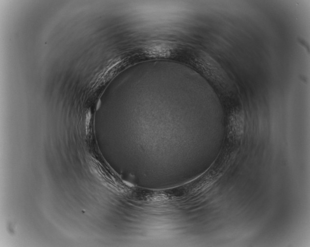 X0000100780600200806261631