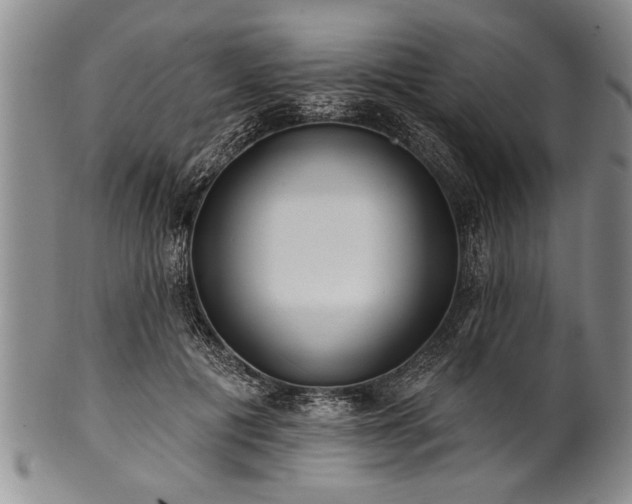 X0000100780601200806261631