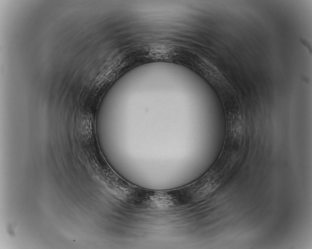 X0000100780603200806261631