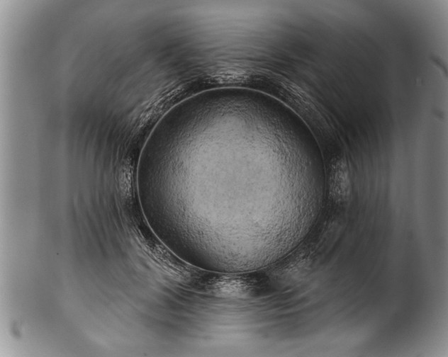 X0000100780604200806261631