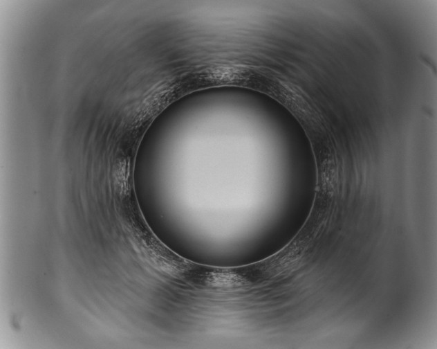 X0000100780605200806261631