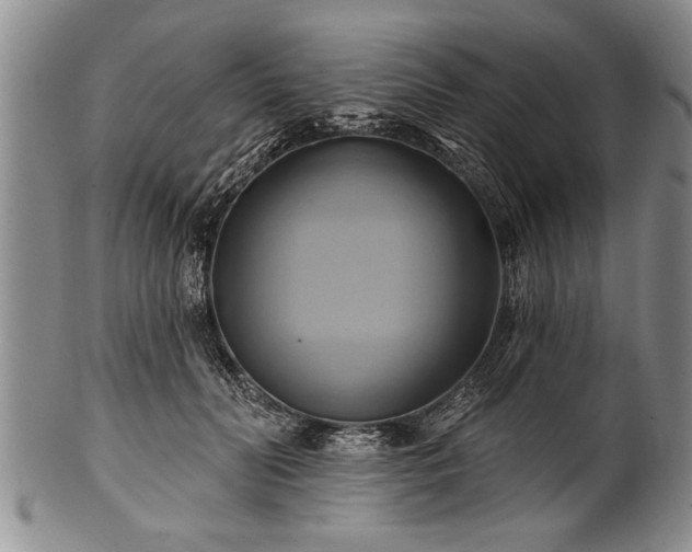 X0000100780606200806261631