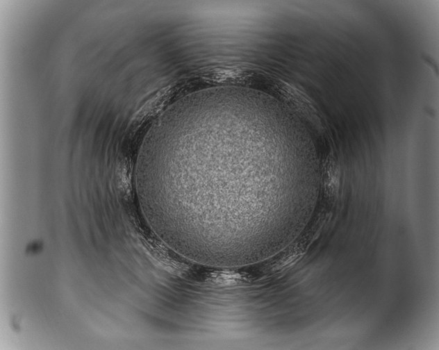 X0000100780607200806261631