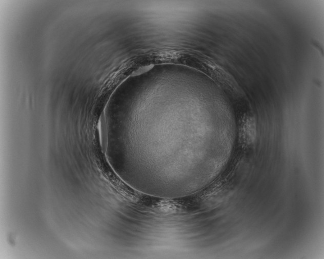 X0000100780608200806261631