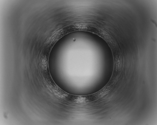 X0000100780609200806261631