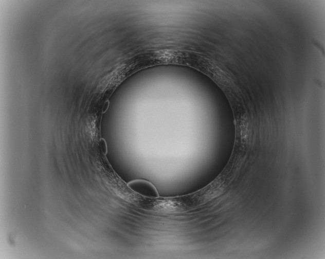 X0000100780611200806261631