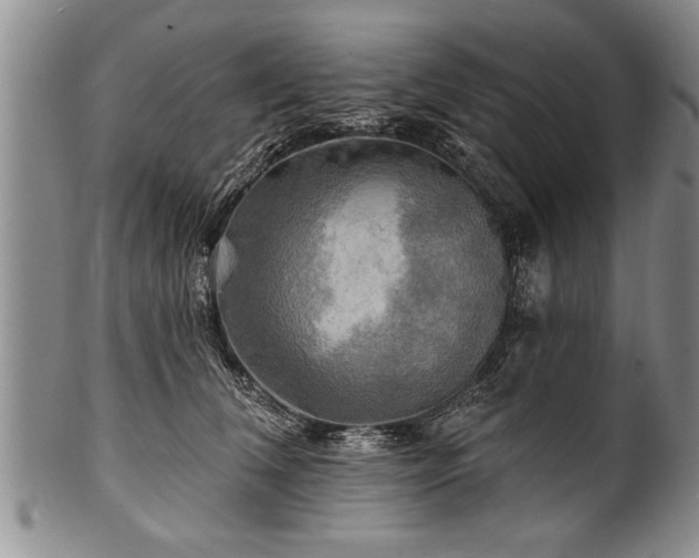 X0000100780612200806261631