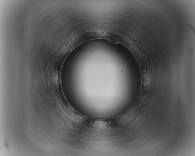 X0000100780613200806261630