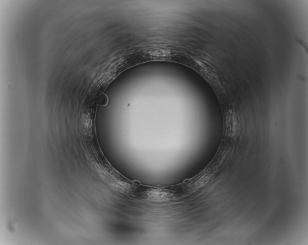 X0000100780614200806261630