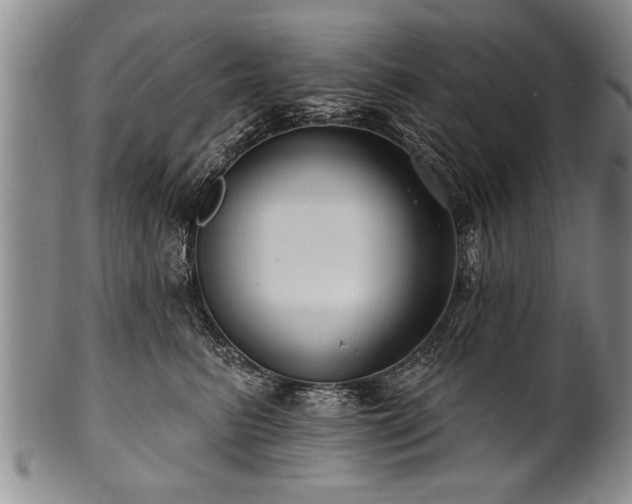 X0000100780615200806261630