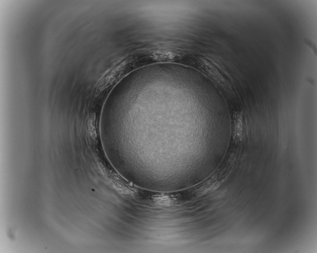 X0000100780616200806261630