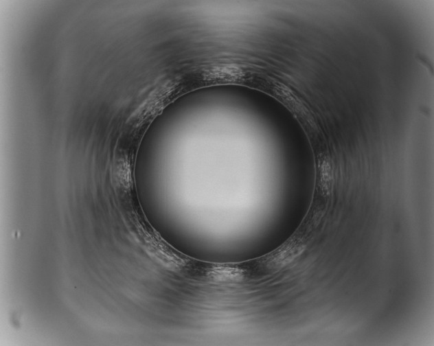 X0000100780617200806261630