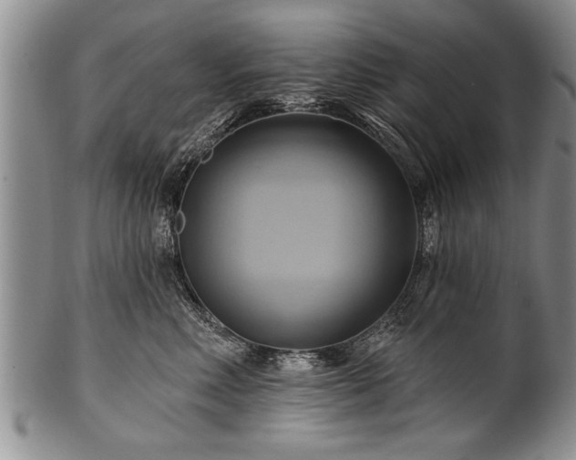 X0000100780618200806261630