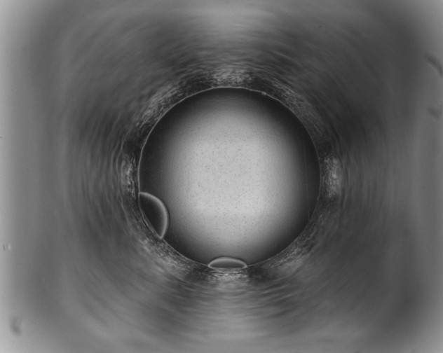 X0000100780619200806261630