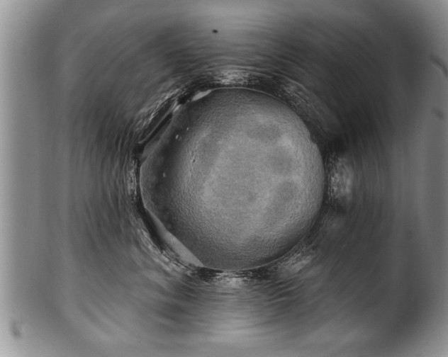 X0000100780620200806261630