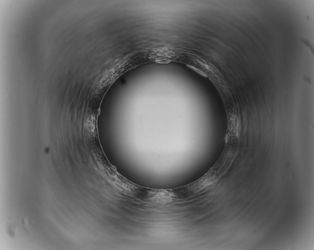 X0000100780621200806261630