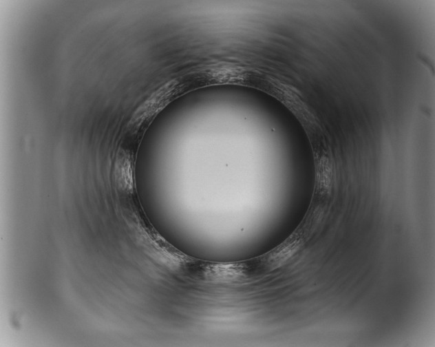 X0000100780622200806261630