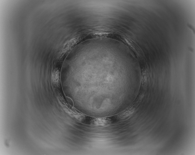 X0000100780623200806261630