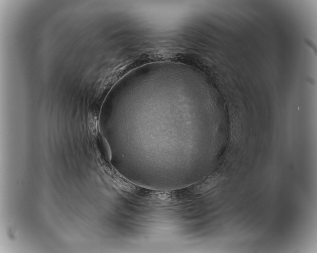 X0000100780624200806261630