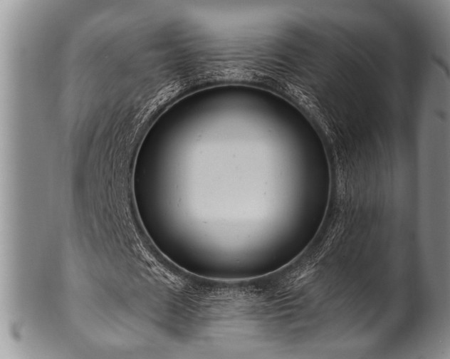 X0000100780625200806261630