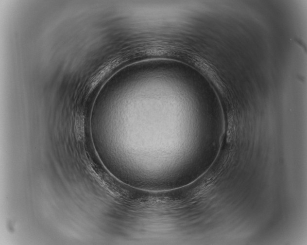 X0000100780626200806261630