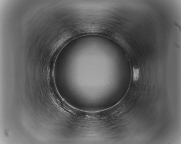 X0000100780627200806261630