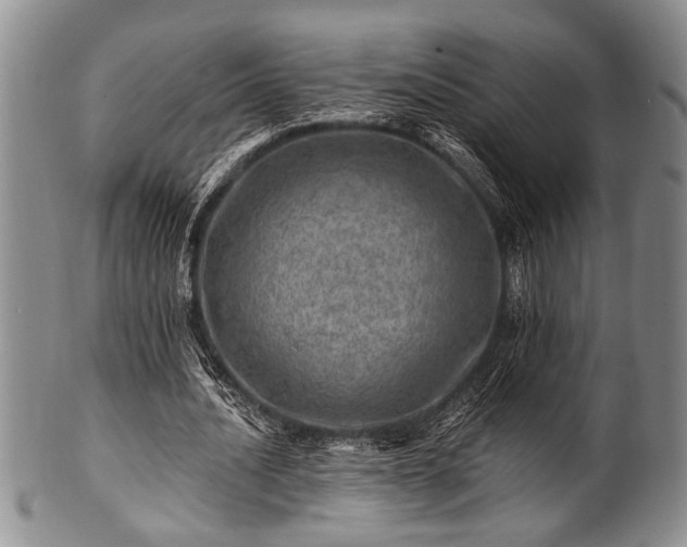 X0000100780628200806261630