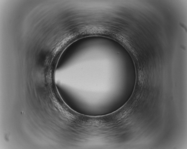 X0000100780629200806261630