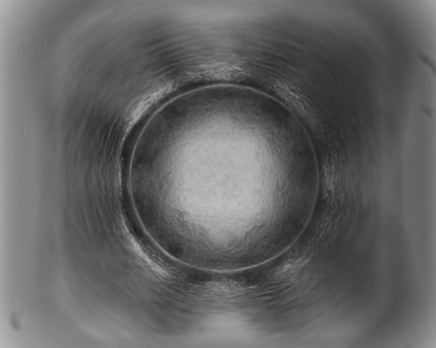 X0000100780630200806261630