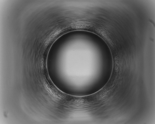 X0000100780631200806261630