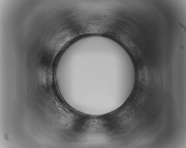 X0000100780632200806261630