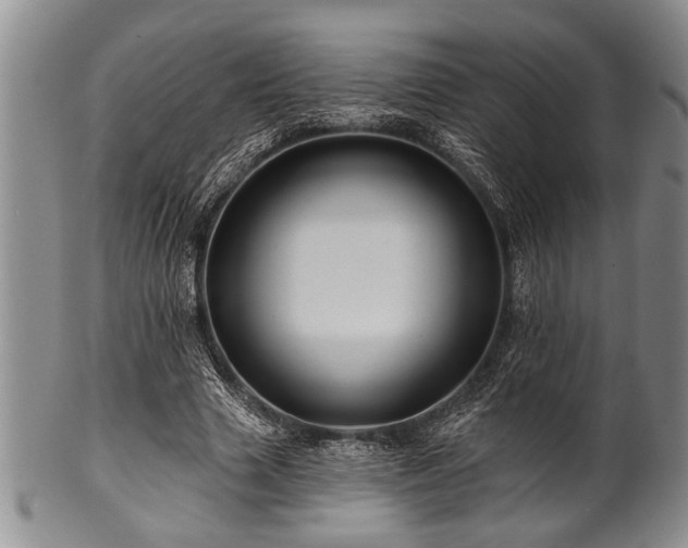 X0000100780633200806261630