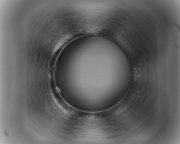 X0000100780634200806261630