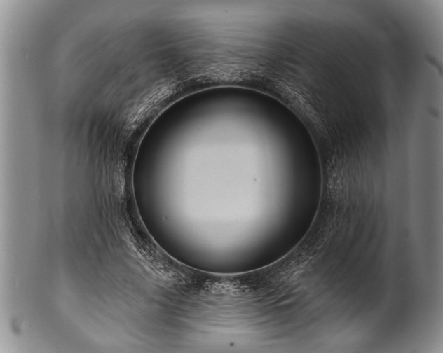 X0000100780635200806261630