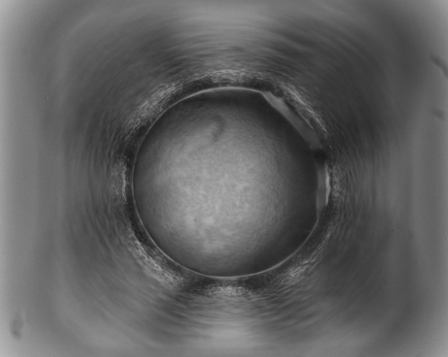 X0000100780637200806261630