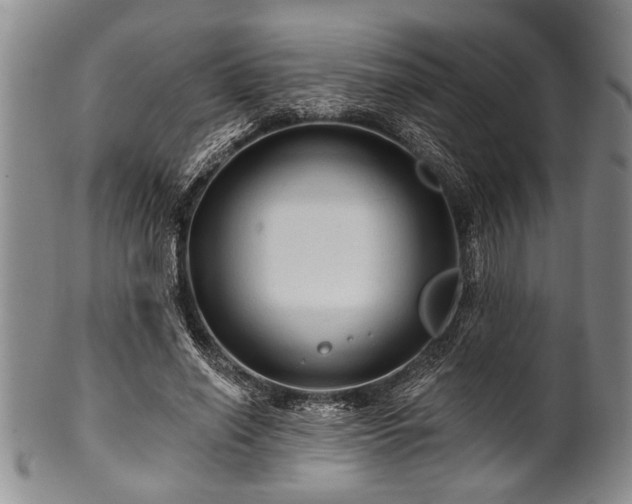 X0000100780638200806261630