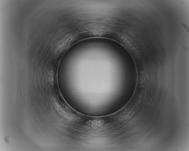 X0000100780639200806261630