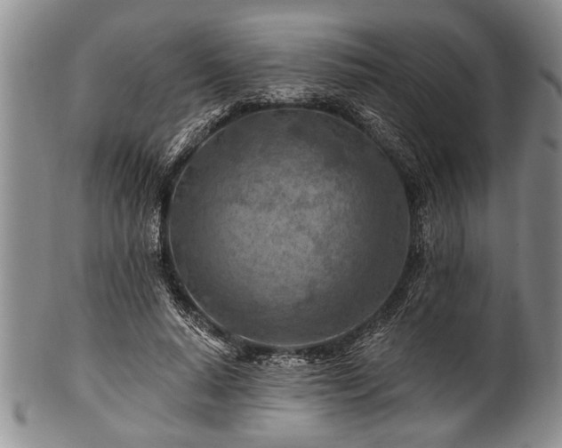 X0000100780640200806261630