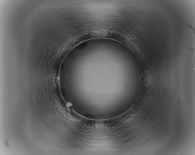 X0000100780641200806261630