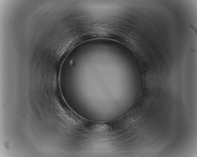 X0000100780642200806261630