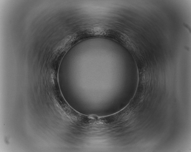 X0000100780643200806261630