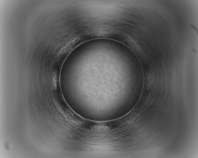 X0000100780644200806261630