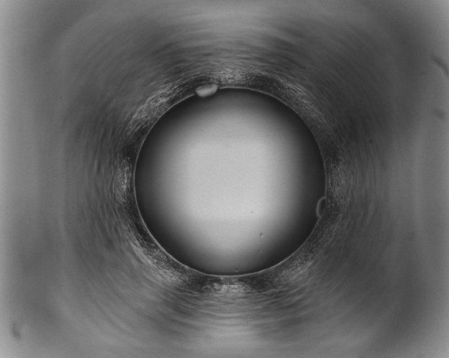 X0000100780645200806261630